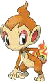 Chimchar